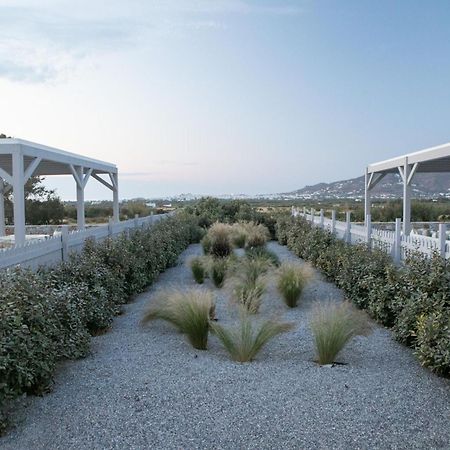 Olives Rocks Naxian Villas Agia Anna  Bagian luar foto
