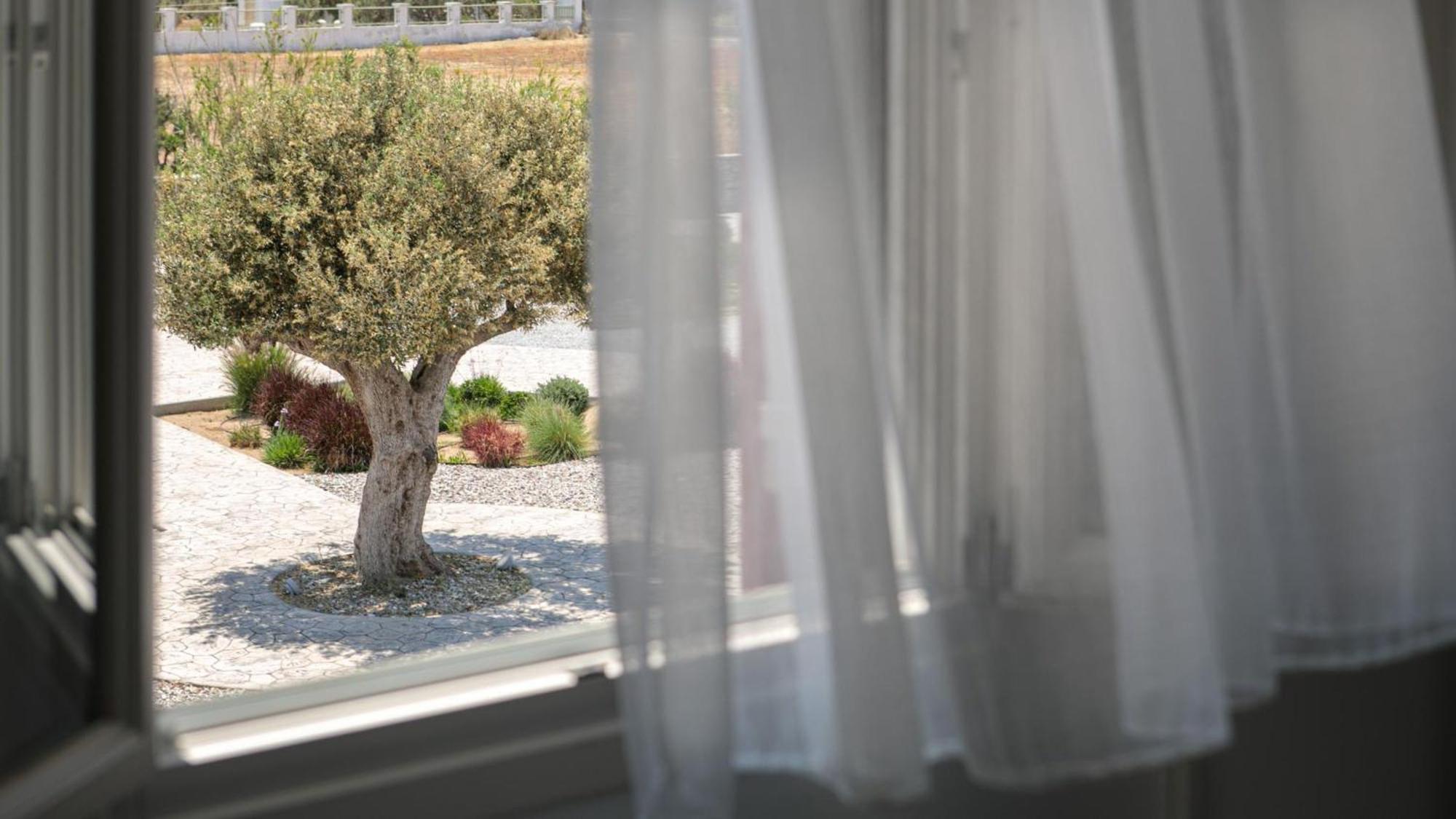 Olives Rocks Naxian Villas Agia Anna  Bagian luar foto