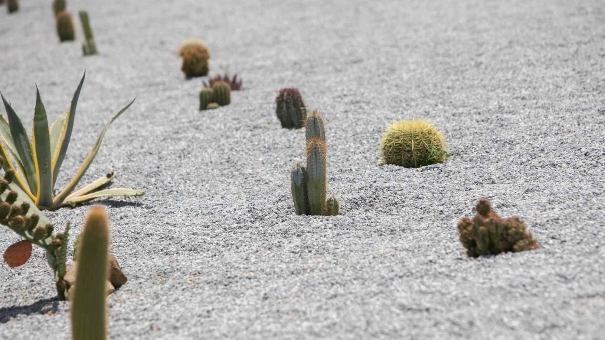 Olives Rocks Naxian Villas Agia Anna  Bagian luar foto