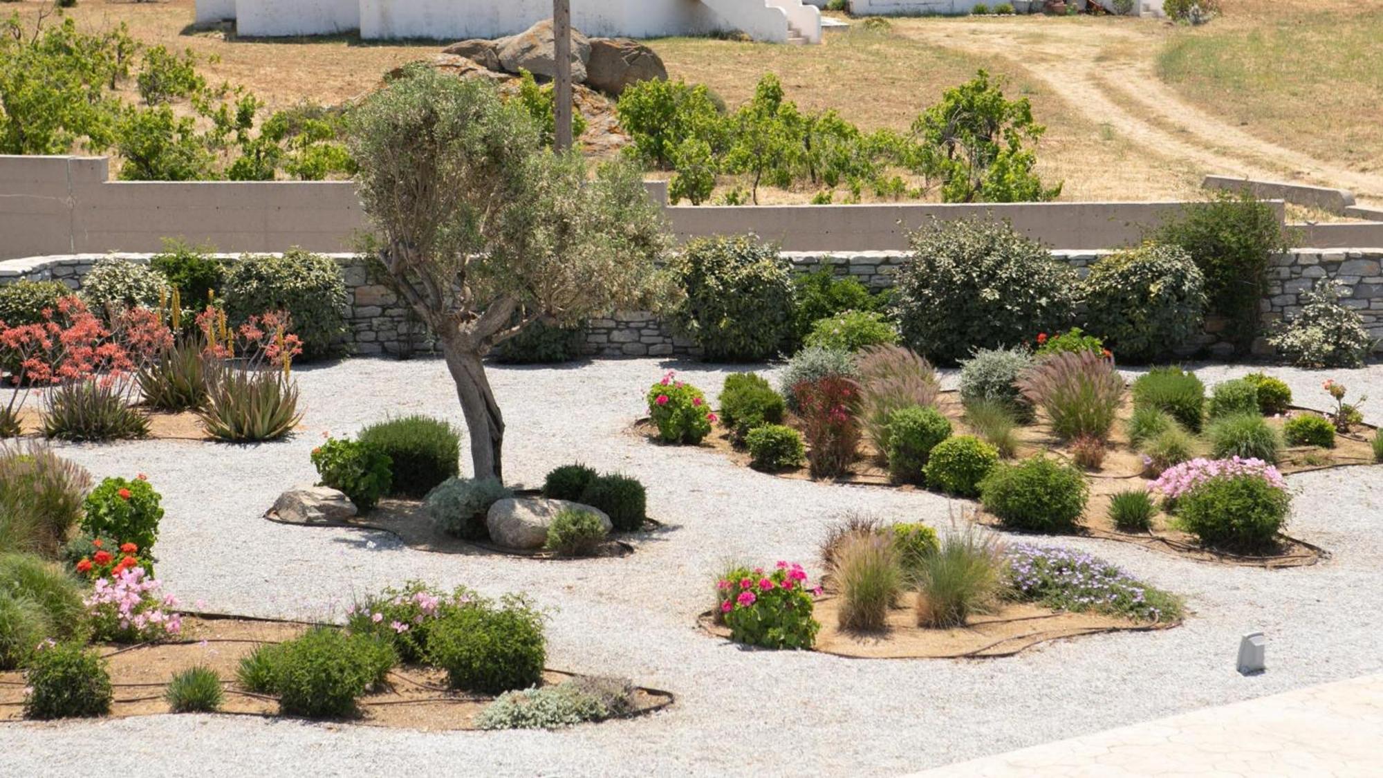 Olives Rocks Naxian Villas Agia Anna  Bagian luar foto