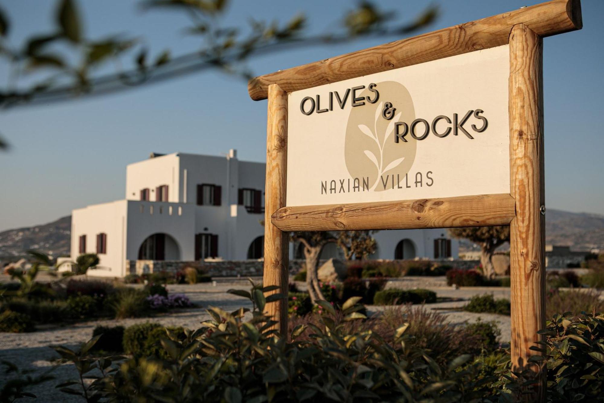 Olives Rocks Naxian Villas Agia Anna  Bagian luar foto