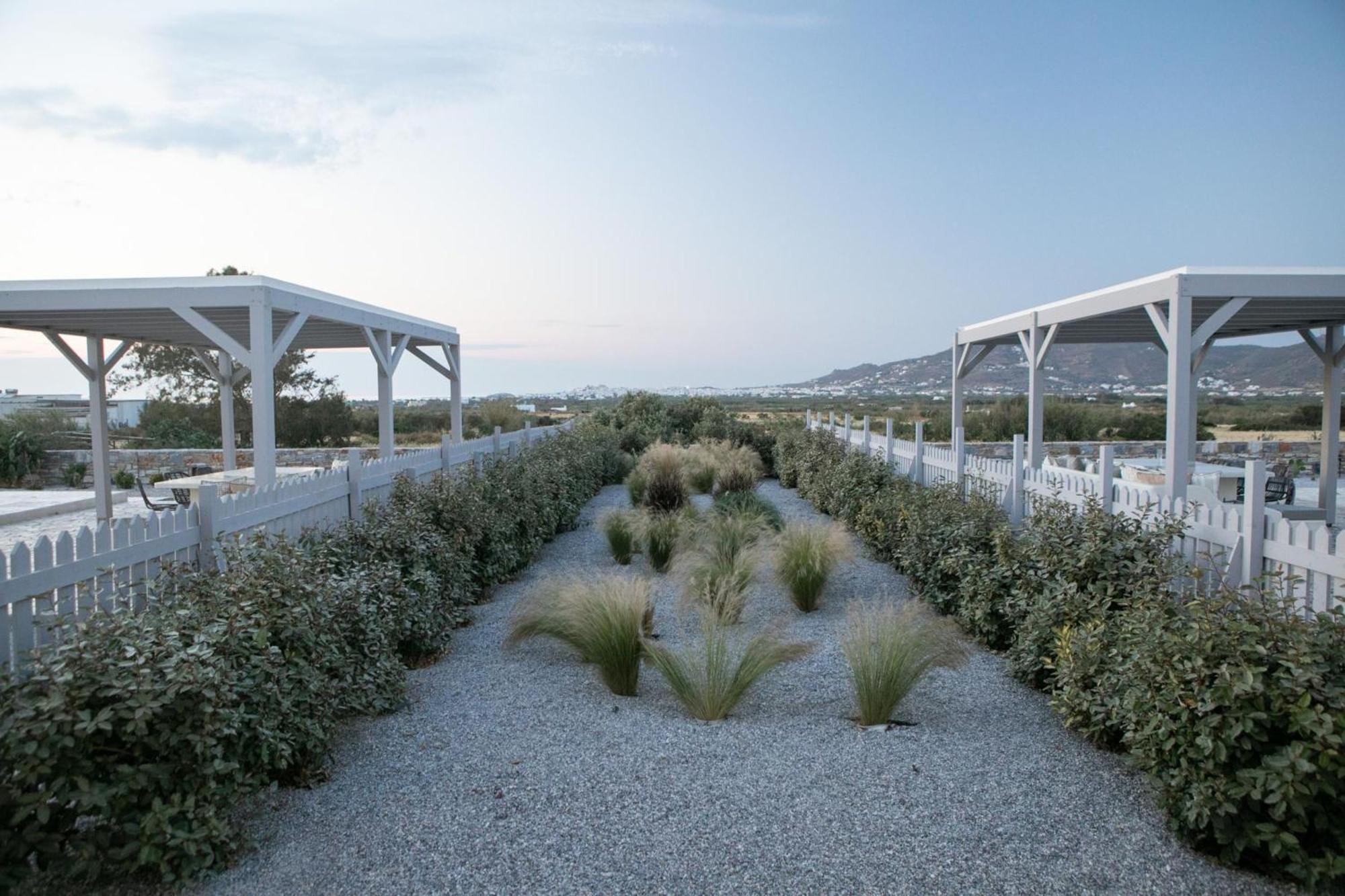 Olives Rocks Naxian Villas Agia Anna  Bagian luar foto